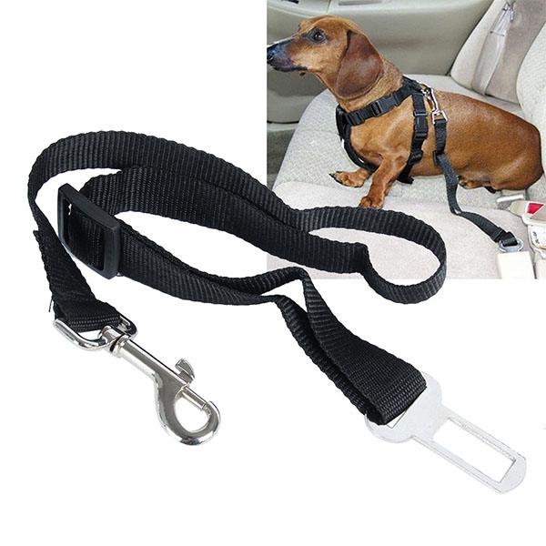 adjustable dog car leash